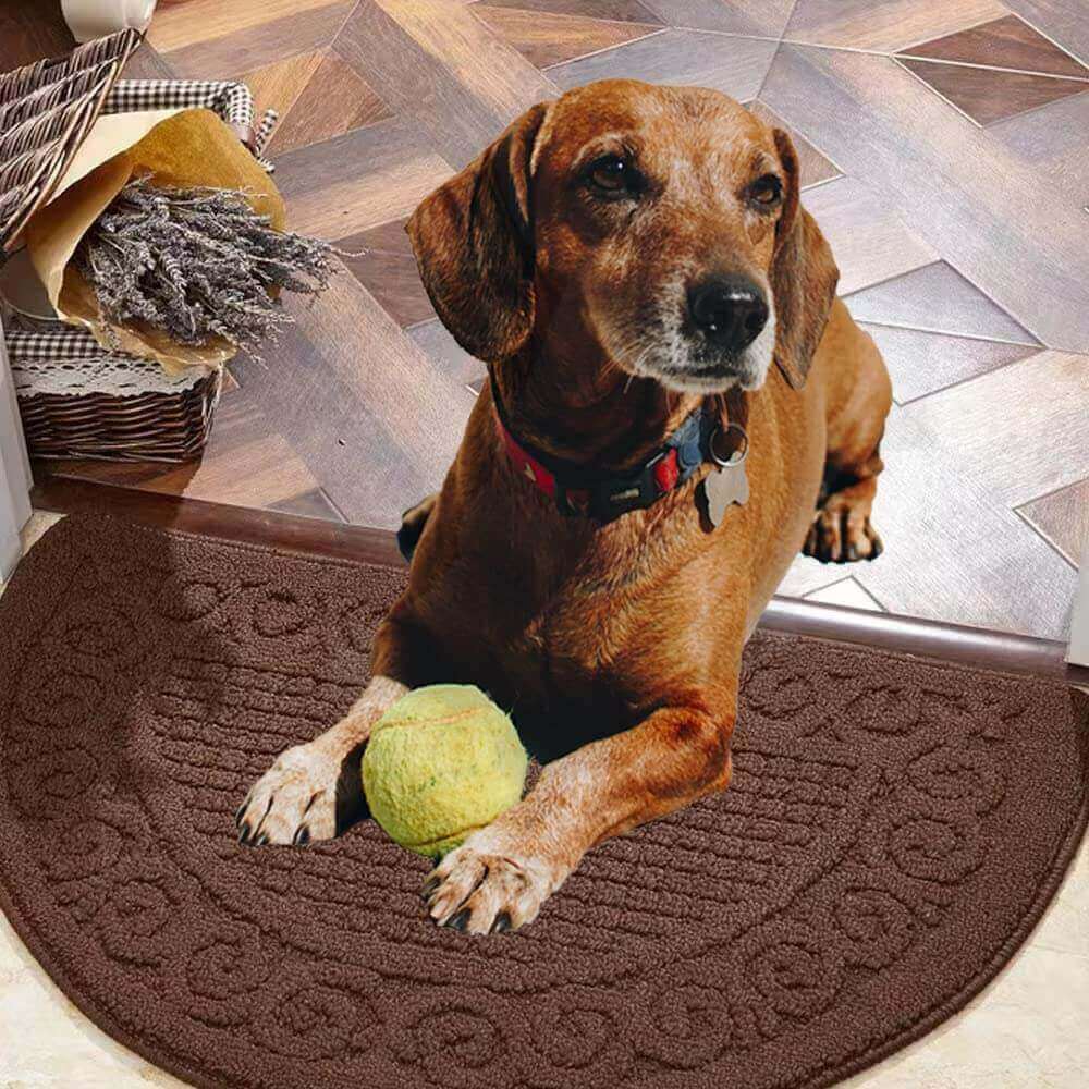Sastybale Brown non slip indoor door mat and dog