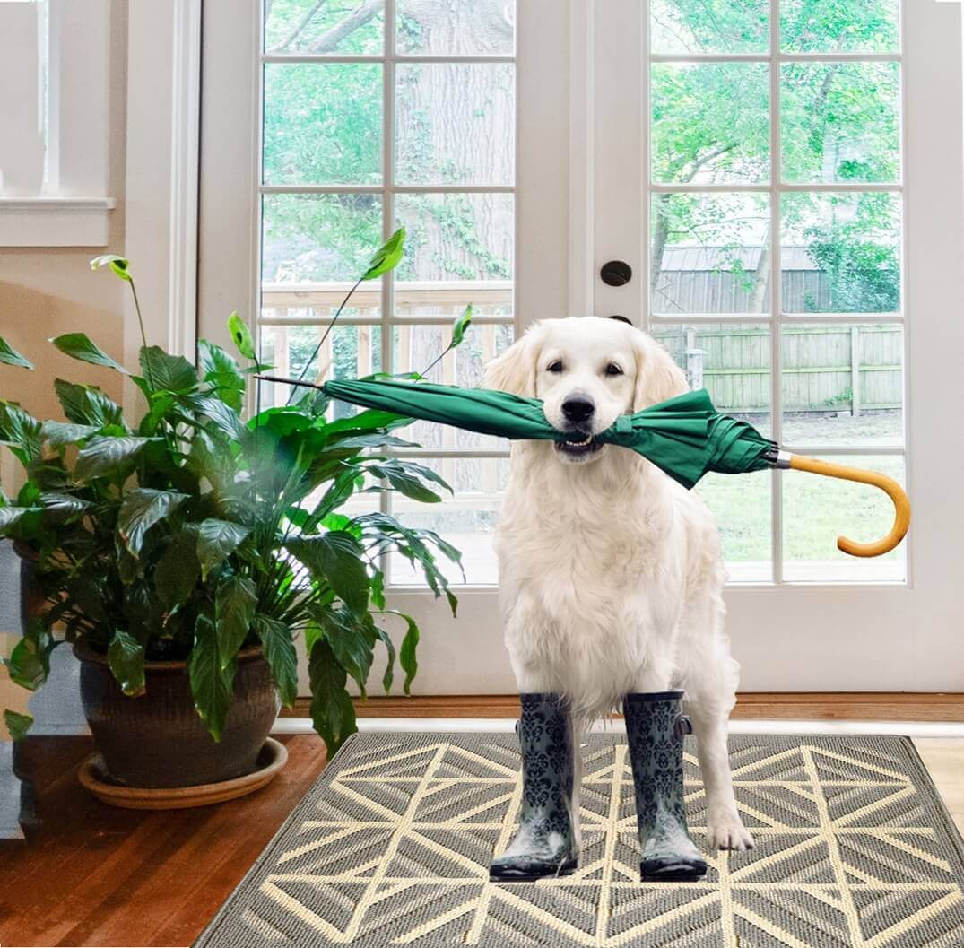 Sastybale Grey indoor Doormat and dog