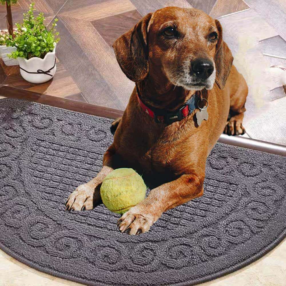 Sastybale Grey non slip indoor door mat and dog